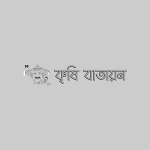 অর্কিডের পাতার দাগ রোগ